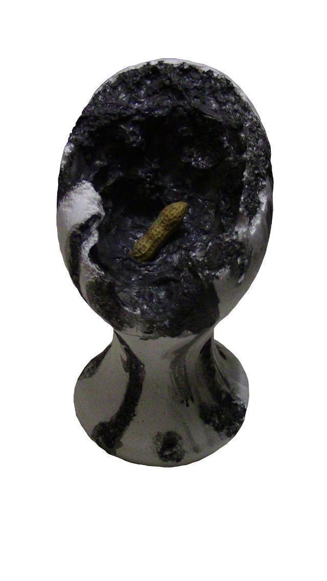 Yo soy tico, pero normal 4