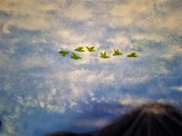 IMG 20230609 214310-2