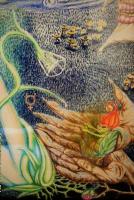 52053 1521643535163 1656824048 1265352 534952 o1 55